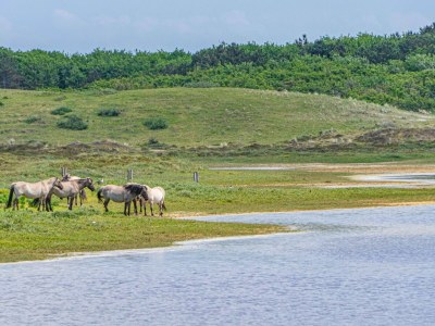 Holiday house De Jonge - Environment photo 24