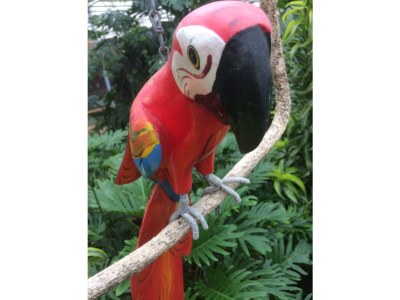 Holiday house De Jonge - Environment photo 28