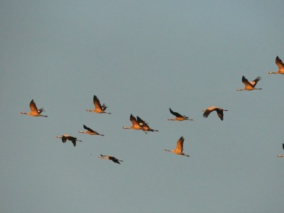 Holiday house Sturmvogel - Features photo 31