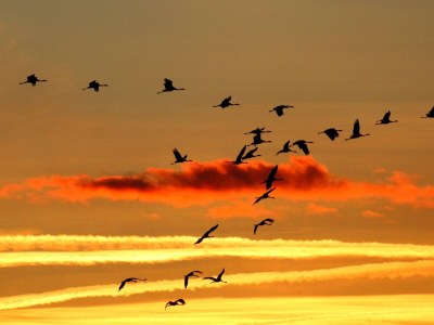 Holiday house Sturmvogel - Features photo 33