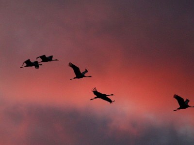 Holiday house Sturmvogel - Features photo 34