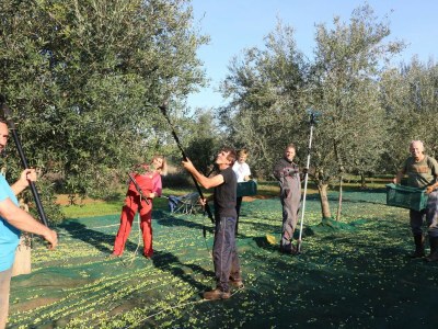 Holiday apartment Rosmarin - Outdoor photo 10