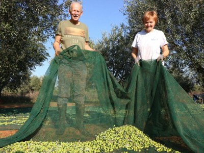 Holiday apartment Rosmarin - Outdoor photo 11