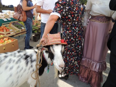 Holiday apartment Rosmarin - Environment photo 32