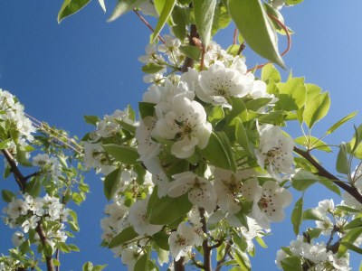 Holiday apartment In the Martina apartment building - Environment photo 29