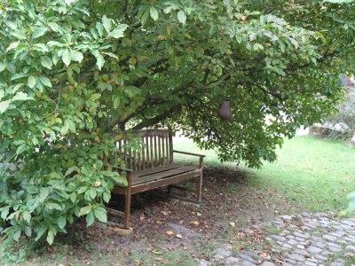 Holiday apartment Kanaan Bremervörde - Outdoor photo 12