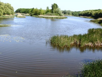 Holiday apartment Kanaan Bremervörde - Environment photo 37