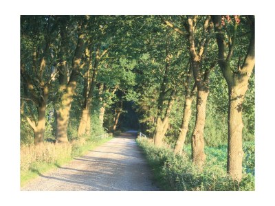 Holiday apartment Kanaan Bremervörde - Environment photo 39