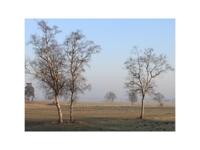 Holiday apartment Kanaan Bremervörde - Environment photo 40