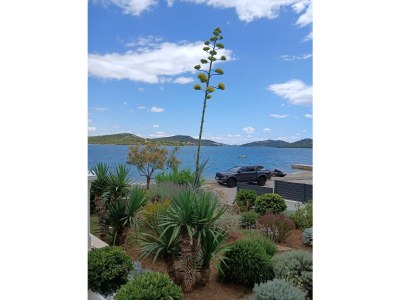 Apartment Duba - Outdoor photo 8