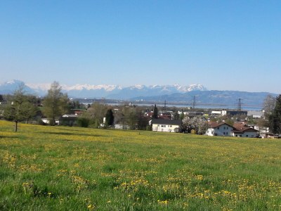 Holiday apartment Sandra with balcony near Lake Constance & Pfänder - Outdoor photo 7