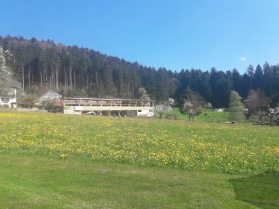 Holiday apartment Sandra with balcony near Lake Constance & Pfänder - Outdoor photo 8
