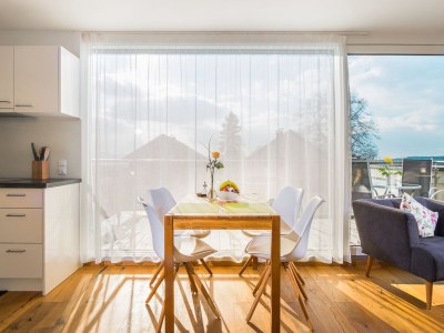 Holiday apartment Sandra with balcony near Lake Constance & Pfänder - Features photo 12