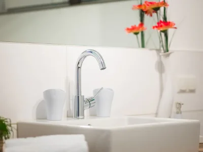 Holiday apartment Sandra with balcony near Lake Constance & Pfänder - Features photo 15