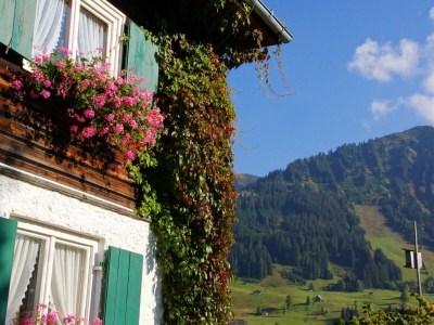 Holiday apartment Luise - Outdoor photo 6