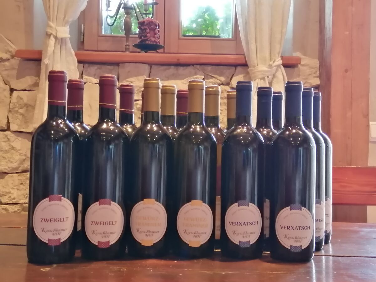 Holiday apartment Kerschbamerhof - Outdoor photo 4