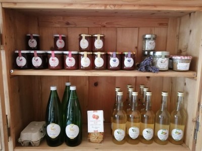 Holiday apartment Kerschbamerhof - Outdoor photo 9