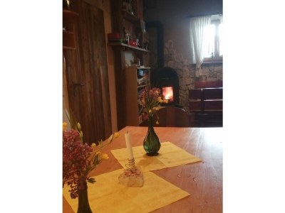 Holiday apartment Kerschbamerhof - Outdoor photo 11