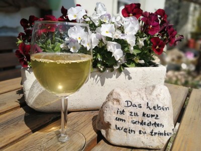 Holiday apartment Kerschbamerhof - Environment photo 20