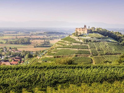 Holiday apartment Raimann - Environment photo 13