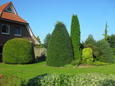 Holiday apartment Haus Estetraum - Outdoor photo 5