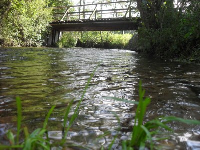 Holiday apartment Haus Estetraum - Environment photo 16