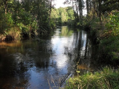 Holiday apartment Haus Estetraum - Environment photo 17