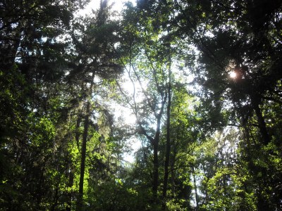 Holiday apartment Haus Estetraum - Environment photo 18