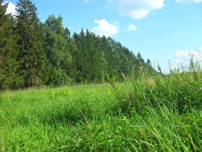 Holiday apartment Haus Estetraum - Environment photo 19