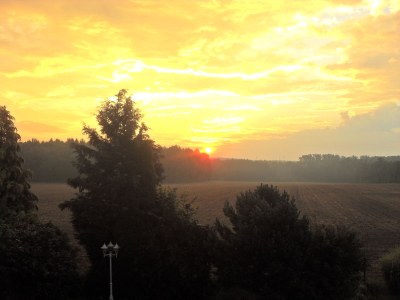 Holiday apartment Haus Estetraum - Environment photo 20