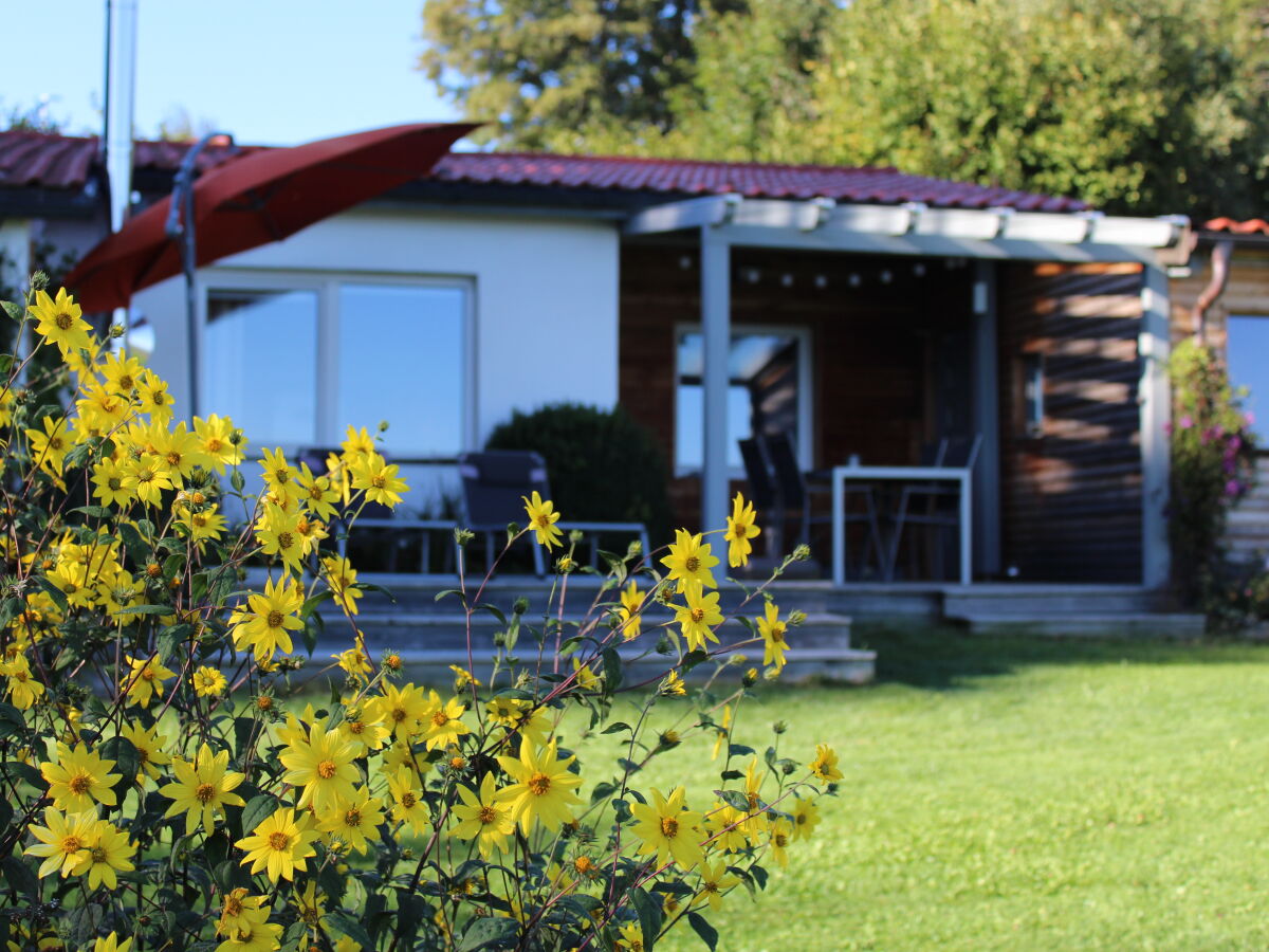 Holiday house Sonnenwaldbungalow 16 - Outdoor photo 4