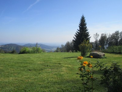 Holiday house Sonnenwaldbungalow 16 - Outdoor photo 5