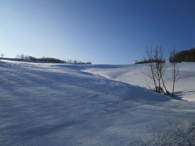Holiday house Sonnenwaldbungalow 16 - Environment photo 35