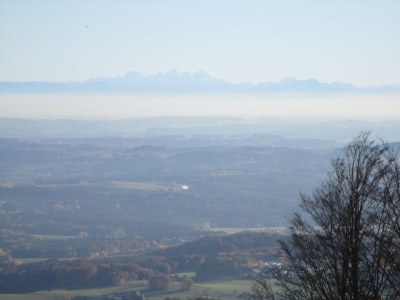 Holiday house Sonnenwaldbungalow 16 - Environment photo 36