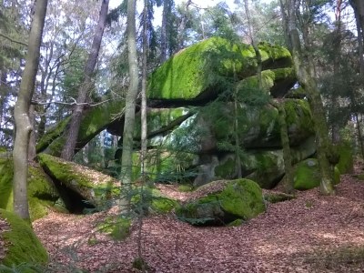 Holiday house Sonnenwaldbungalow 16 - Environment photo 37