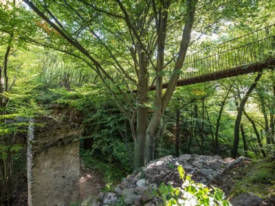 Holiday apartment Gelf-Reichegger 2 - Environment photo 18