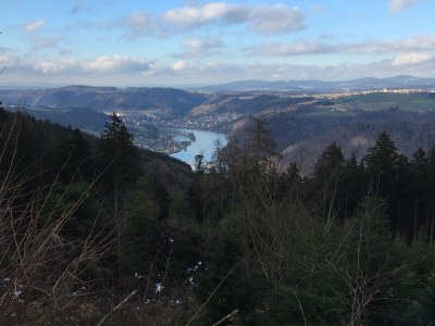 Chalet HerzhÃ¼tte - Environment photo 17