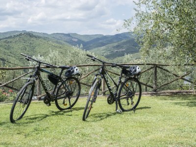 Holiday apartment Bellavista - Outdoor photo 9