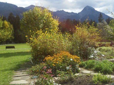 Holiday apartment Hüttenzauber mit Hallenbad - Features photo 15