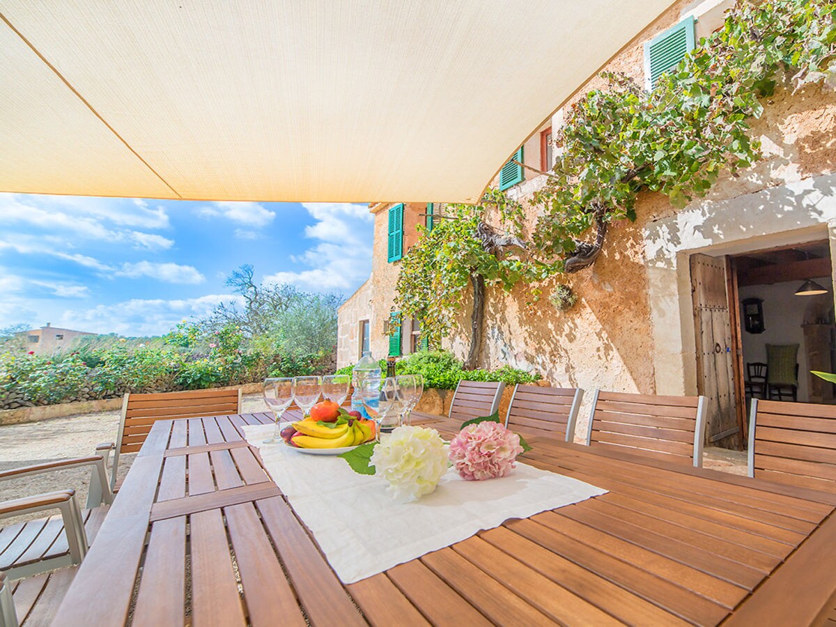 Finca Olivia with pool and Wi-Fi - Outdoor photo 5