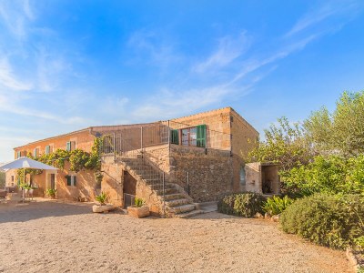 Finca Olivia with pool and Wi-Fi - Outdoor photo 3