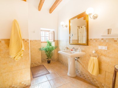 Finca Olivia with pool and Wi-Fi - Features photo 18