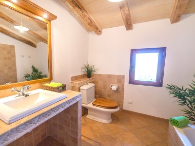 Finca Olivia with pool and Wi-Fi - Features photo 19