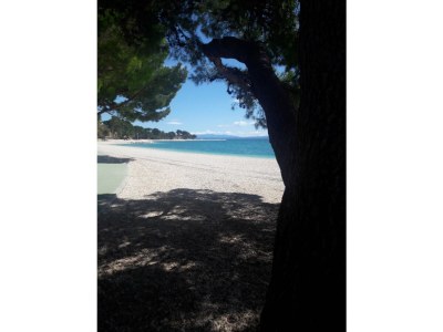 Holiday house Bella Vista-with jacuzzi - Environment photo 38