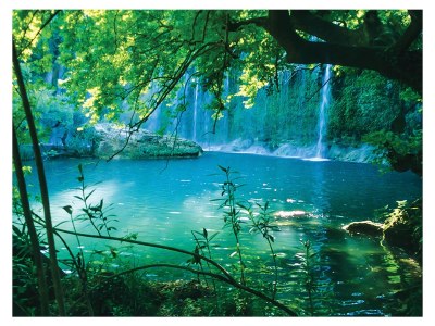 Apartment Test Listing Az databas - Features photo 8