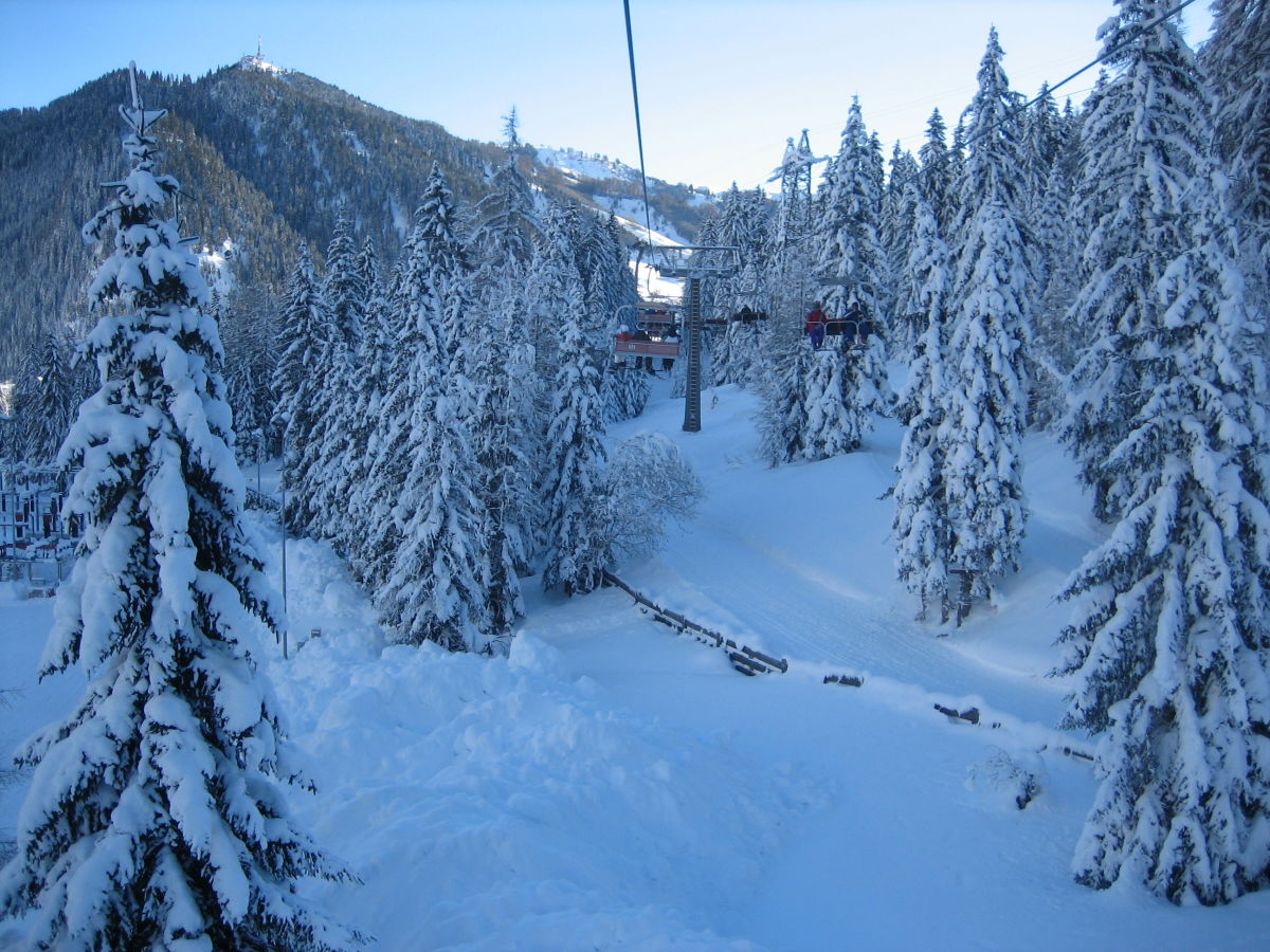 Apartment Living Suite - Outdoor photo 5