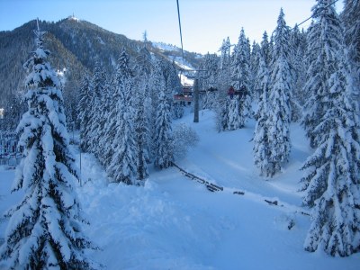 Apartment Living Suite - Outdoor photo 5