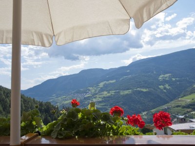 Apartment Living Suite - Outdoor photo 6