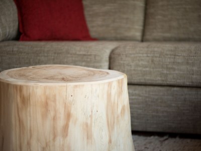 Apartment Living Suite - Features photo 13