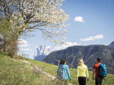 Apartment Living Suite - Environment photo 20